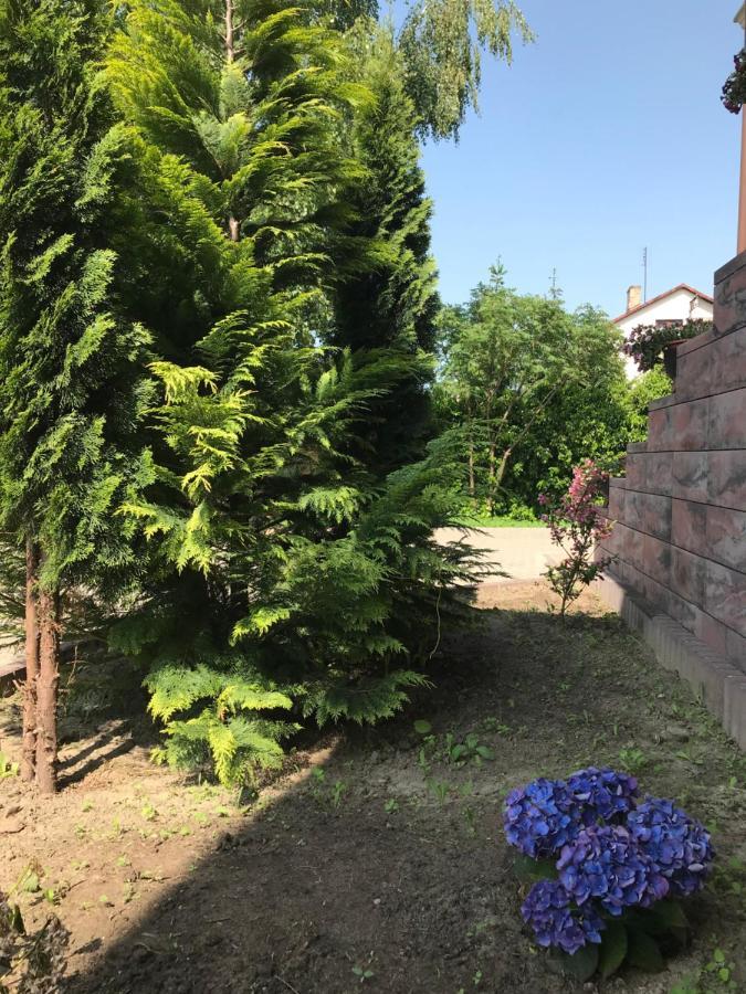 Noclegi Viva Mszczonów Extérieur photo